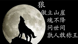 职场狼道的八大智慧