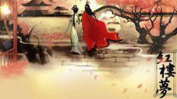 红楼梦中人